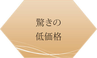 驚きの低価格