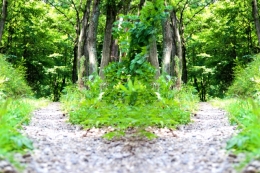 ストレスの善悪