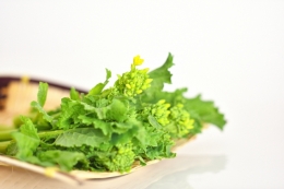 「菜の花の 向こうに見ゆる 都かな」正岡子規