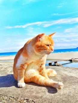 さあ、立ち上がろう!
