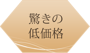 驚きの低価格