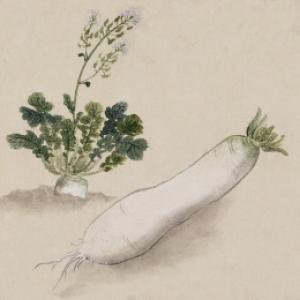 「大根役者」